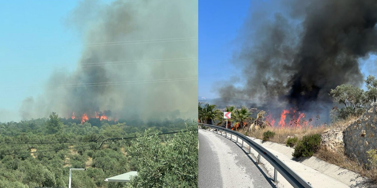 Muğla'da çıkan yangın yerleşim yerini tehdit ediyor: Milas Belediye Başkanı son gelişmeleri aktardı