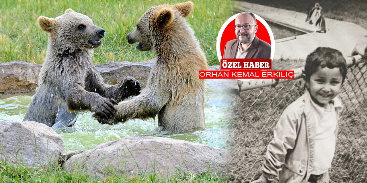 Ankara’da kapanan dereler, yok olan Hayvanat Bahçesi ve Ankapark masalı