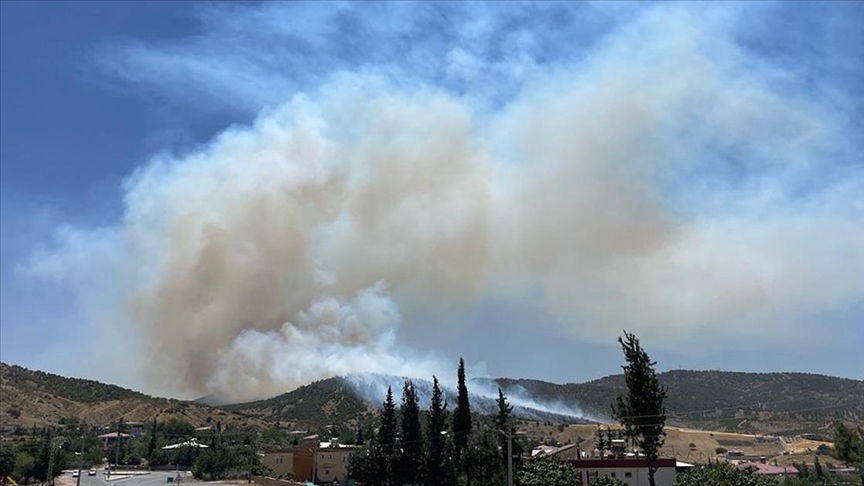 Kahramanmaraş'ta orman yangını çıktı!