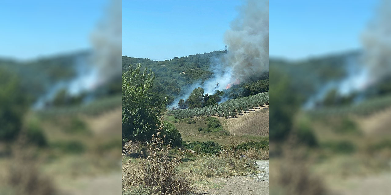 Bursa’da makilik alanda çıkan yangın korkuttu!