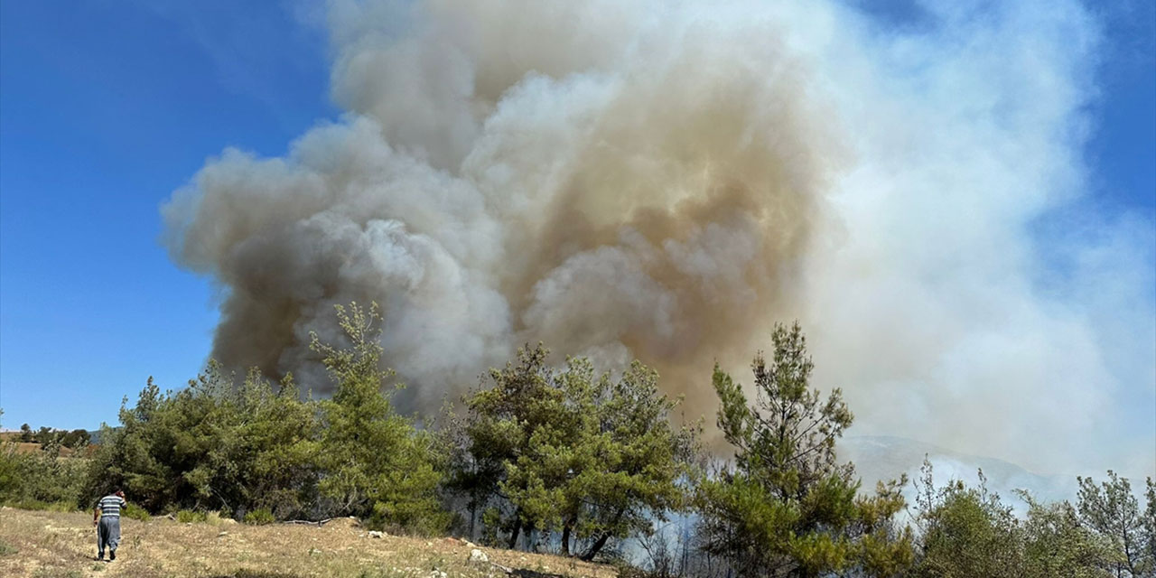 Adana Karaisalı'da orman yangını: Ekipler seferber oldu!