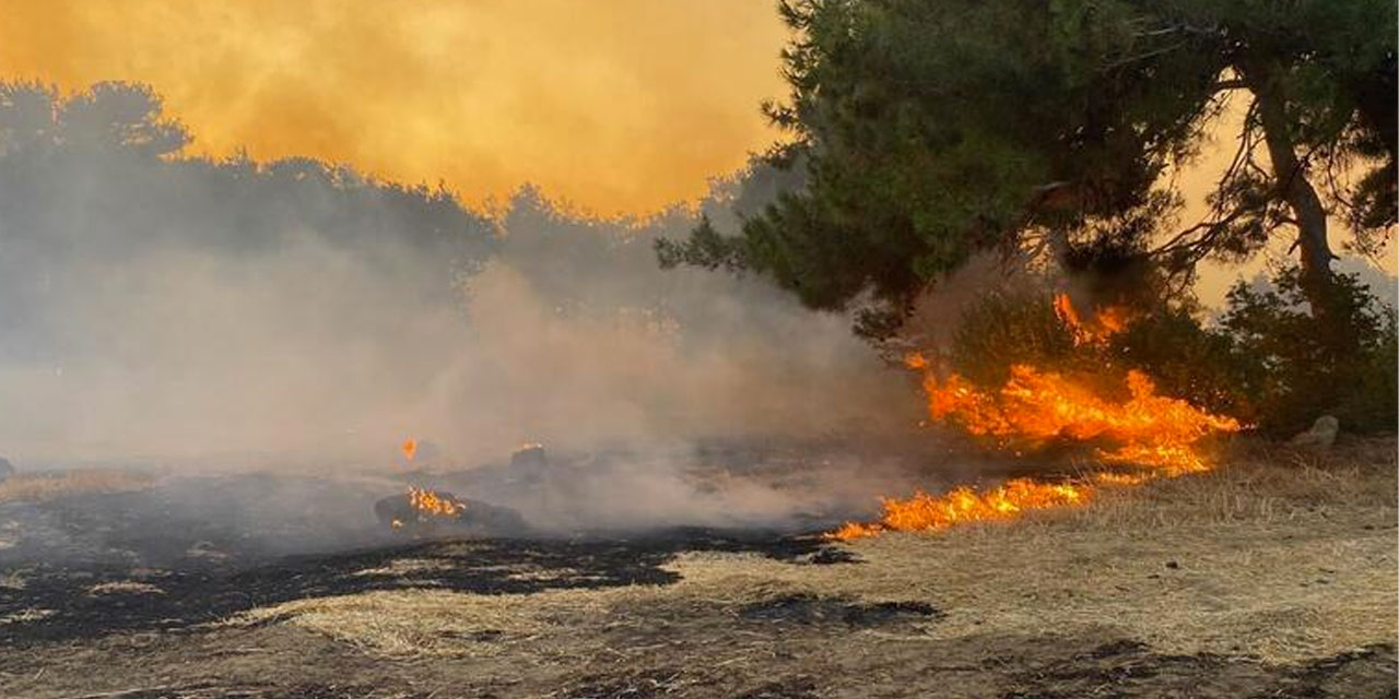Çanakkale'de orman yangını 17 saattir devam ediyor