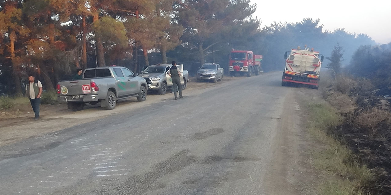 Çanakkale'deki orman yangınına 38. saatte ekipler müdahale etmeye devam ediyor