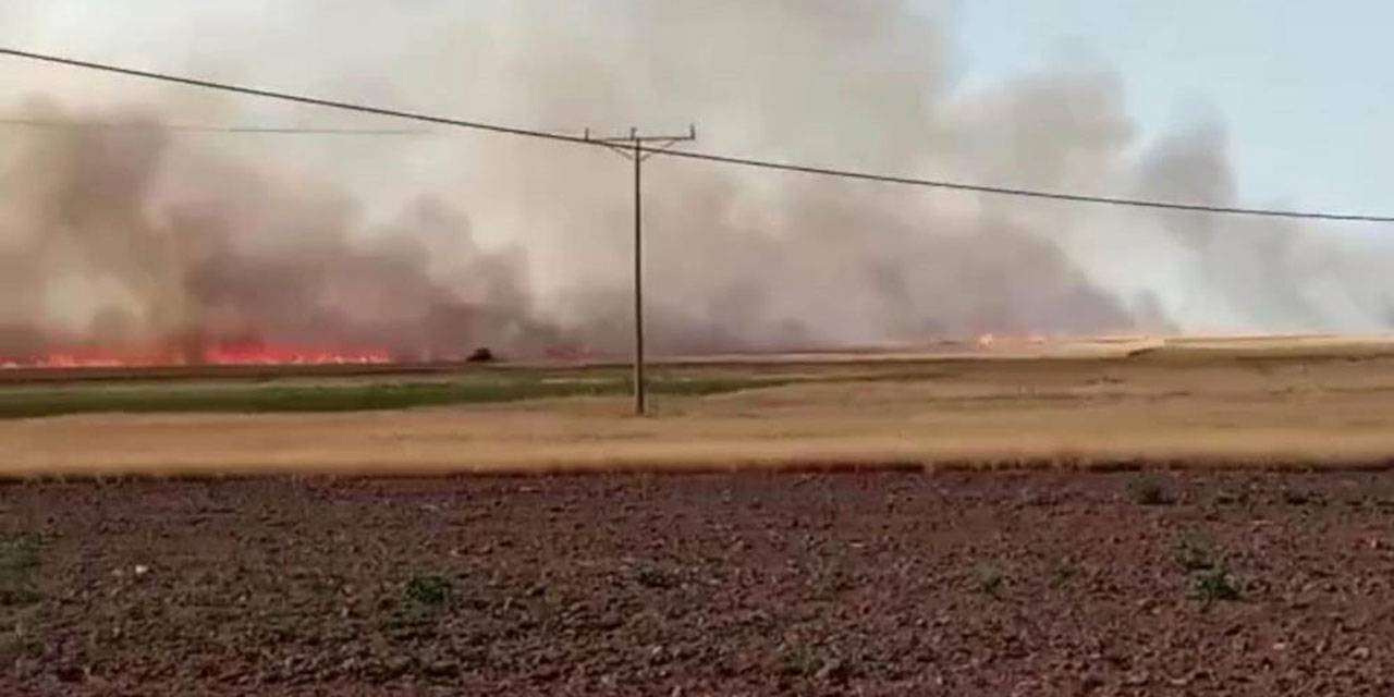 Ankara Haymana'da yangın çıktı: 500 dönüm arazi alev alev yandı