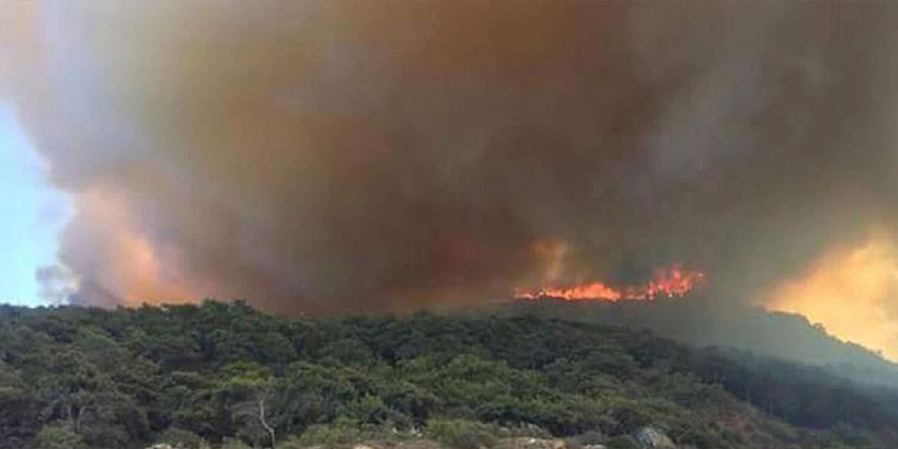 Antalya'da orman yangını meydana geldi!