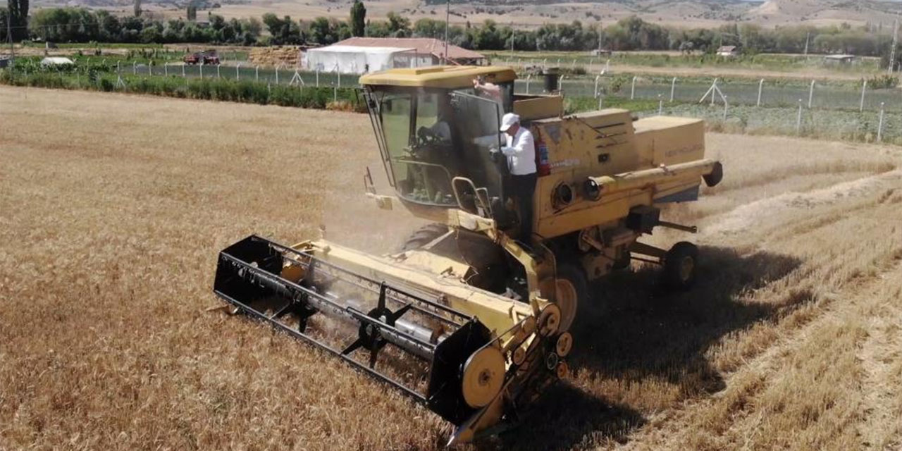 Kırıkkale'de buğday hasadı başladı!