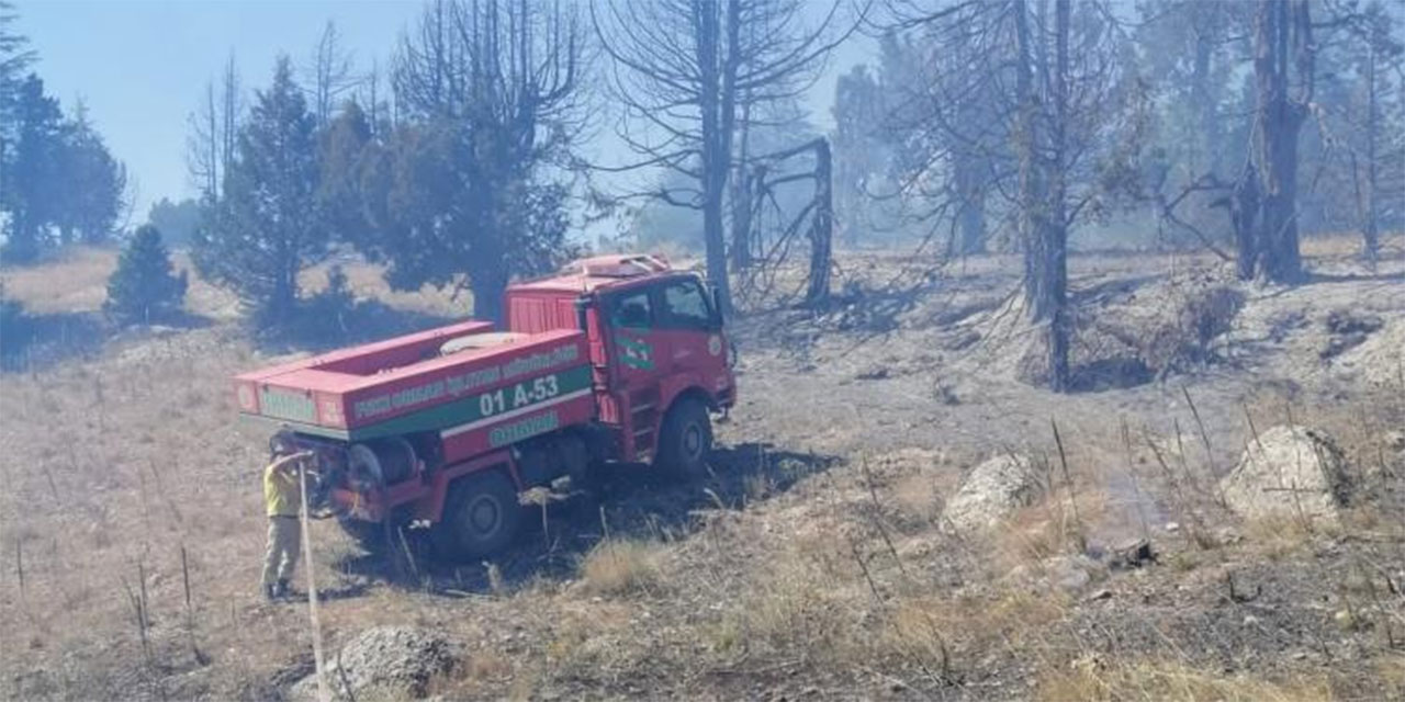 Adana'da yangın kontrol altında!