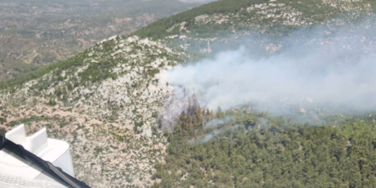 Muğla'nın Milas ilçesinde orman yangını çıktı!