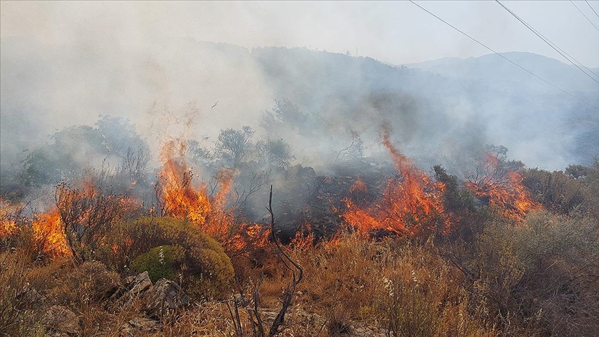 Muğla'da makilik alanda yangın çıktı!