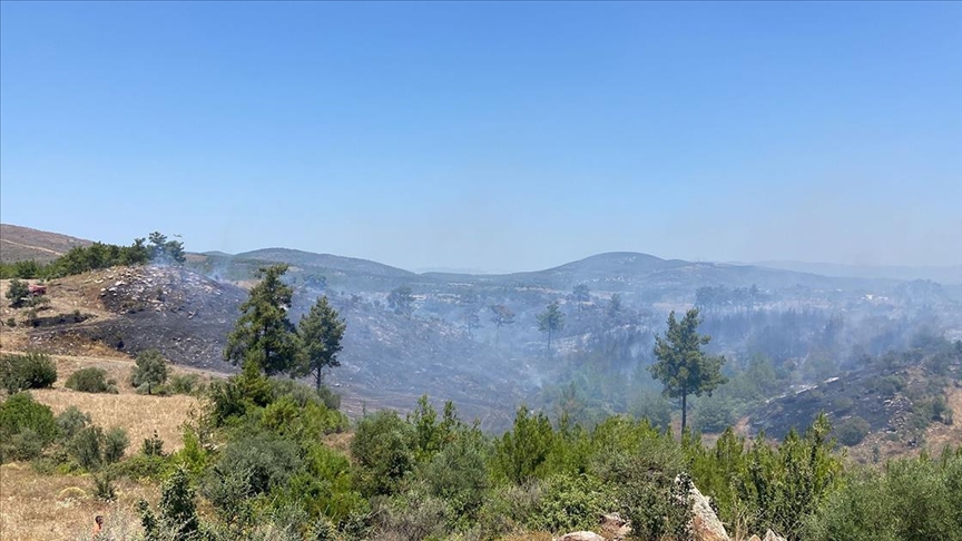Muğla'nın Milas ilçesinde çıkan orman yangını kontrol altına alındı