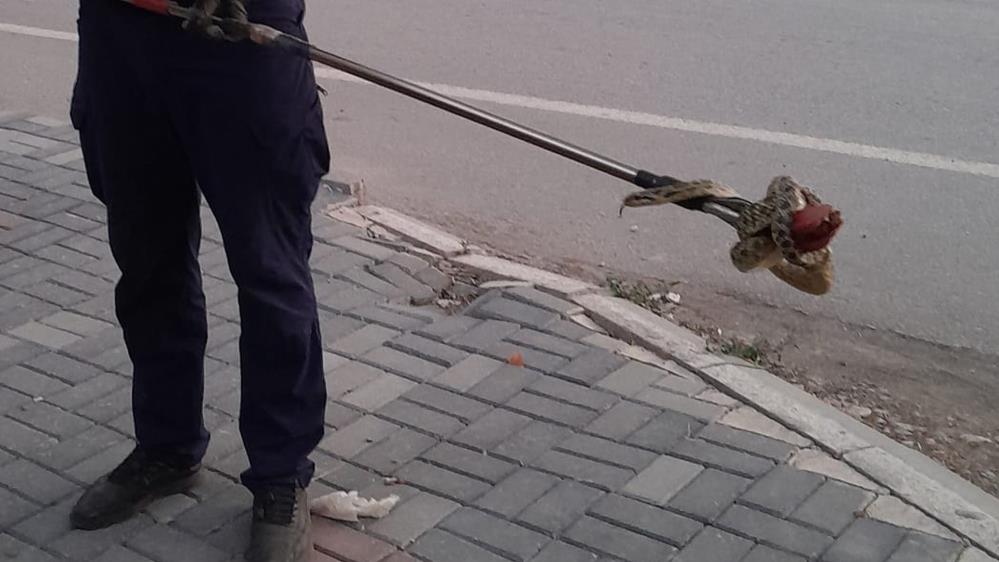 Kırıkkale'de  evin bahçesine giren  yılanı  itfaiye çıkardı