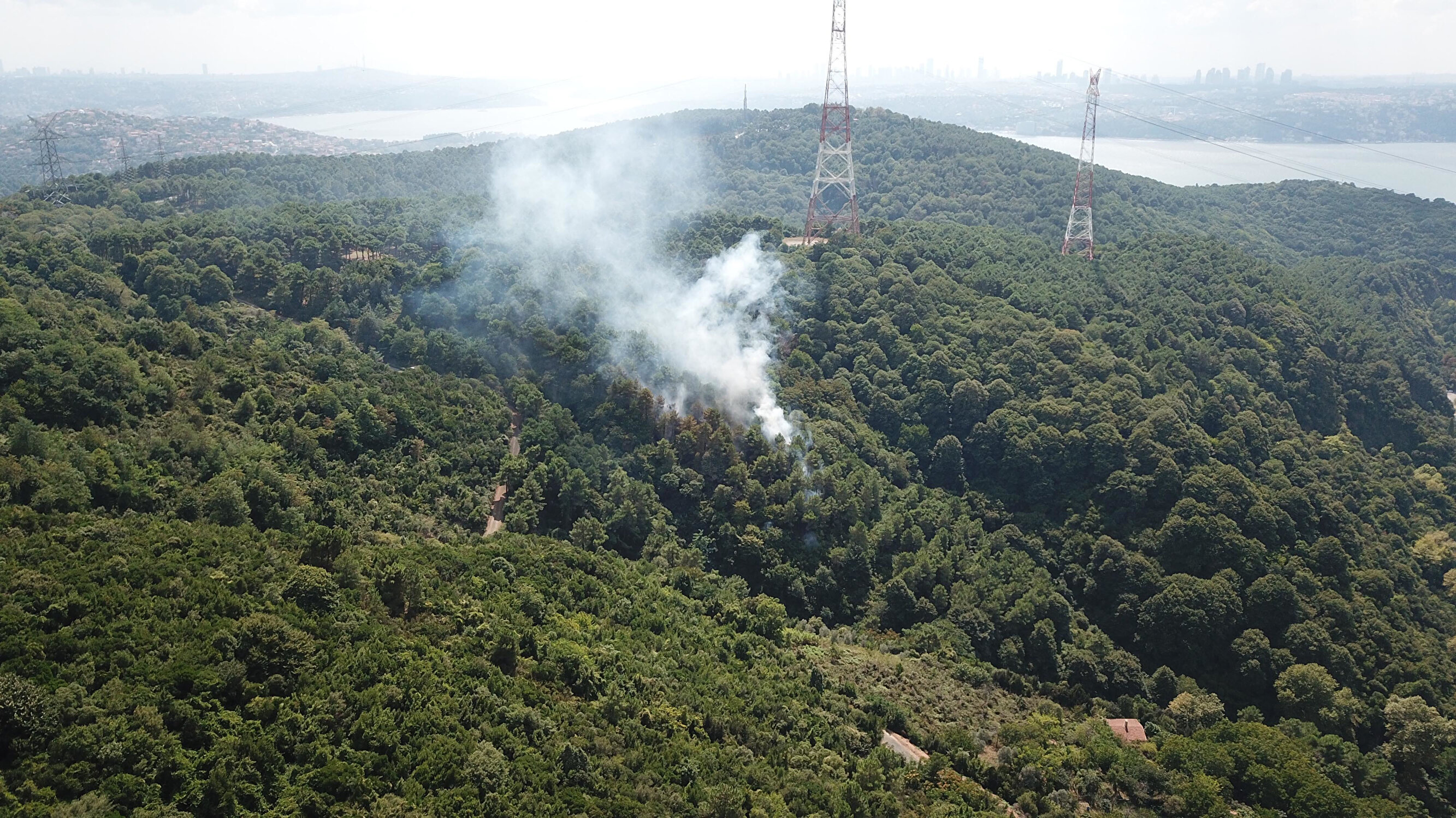 İstanbul Beykoz’da ormanlık alanda yangın çıktı!