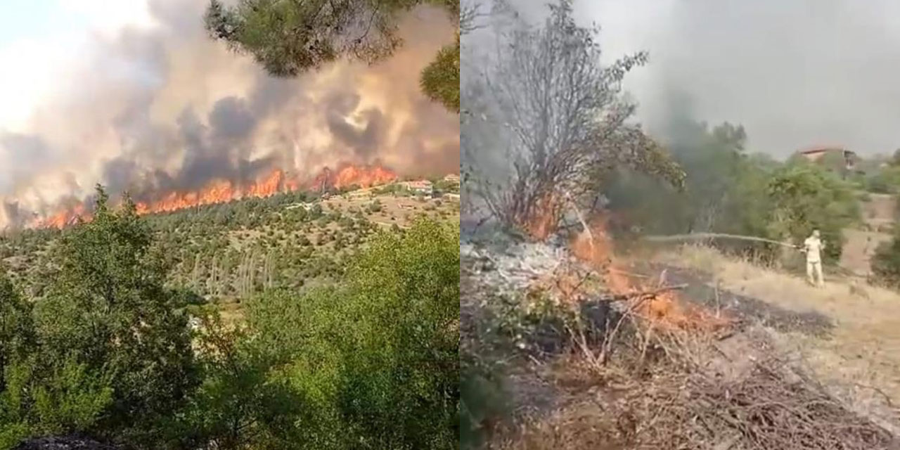 Kütahya'da orman yangını: Yangına müdahale devam ediyor