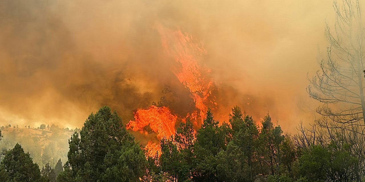 Kütahya'da orman yangını söndürüldü