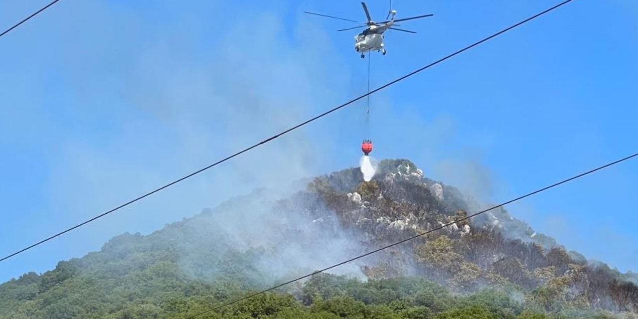 Antalya Demre'de çıkan orman yangınına müdahale sürüyor