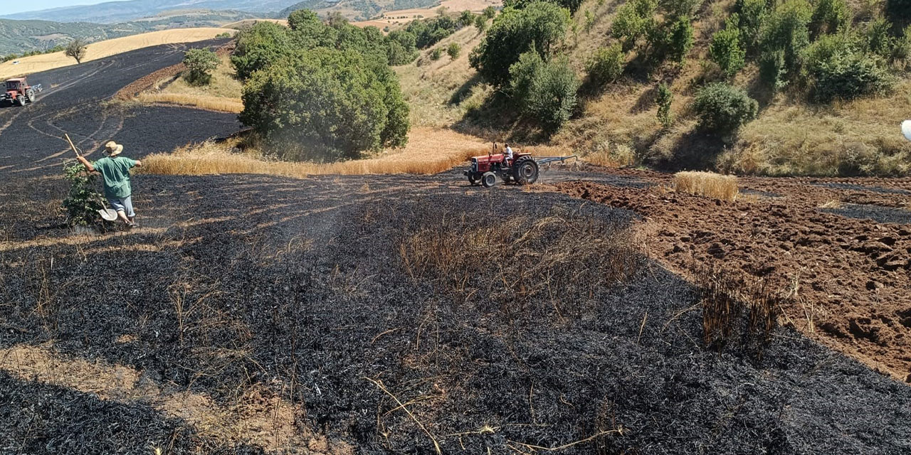 Çorum'da 60 dönümlük buğday tarlası kül oldu