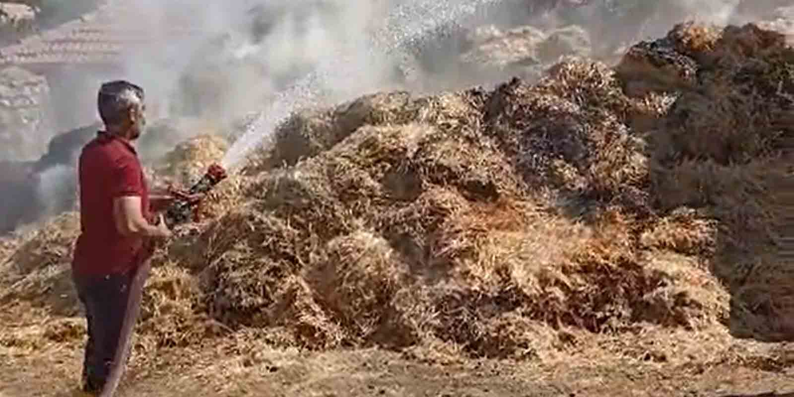 Kırıkkale'de bahçesini temizlemek isteyen çiftçi bir yıllık emeğini yaktı