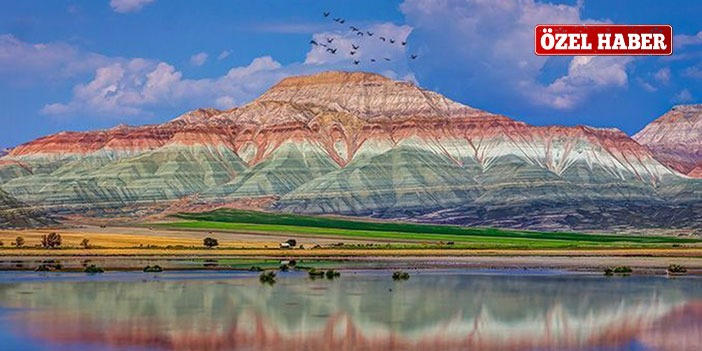 Kartpostal güzelliğinde bir yer: Nallıhan Kuş Cenneti