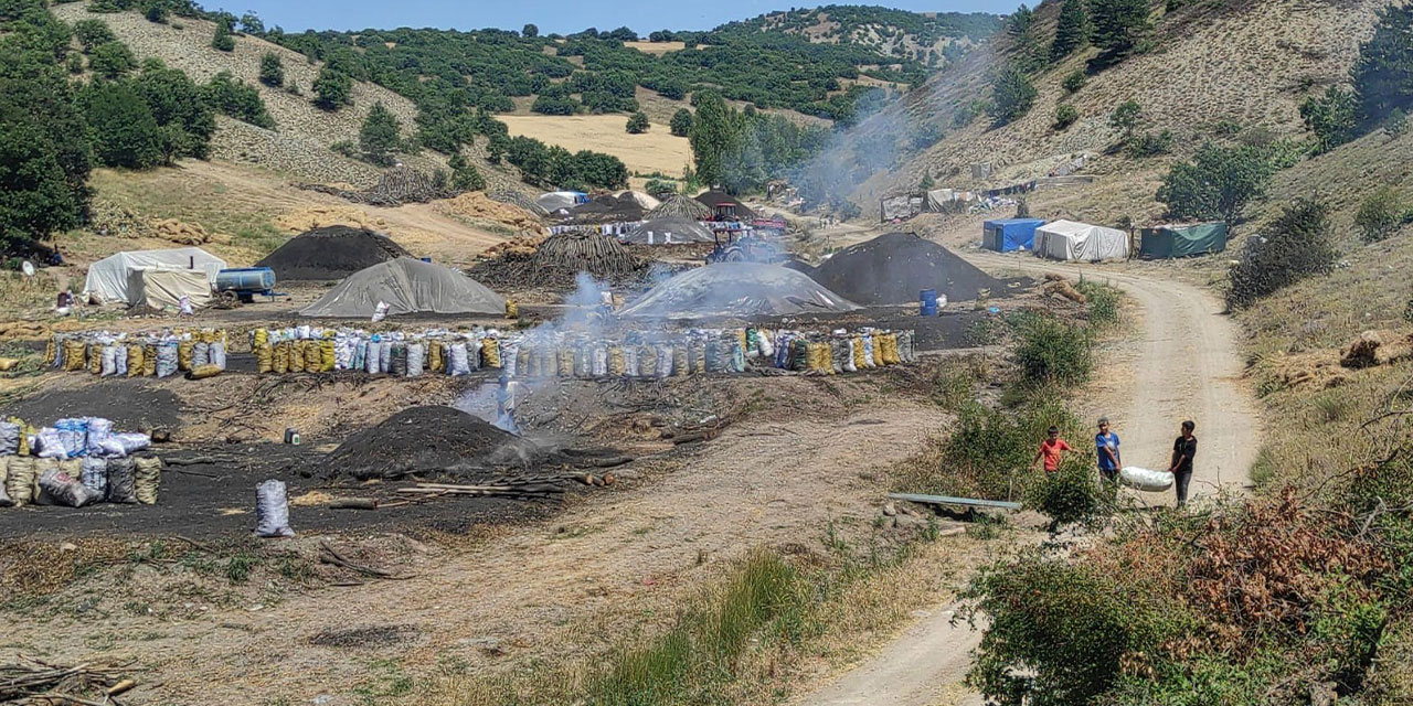 Yozgat Sorgun’da mangal kömürü işçileri zorlu şartlarda çalışmalarını sürdürüyor