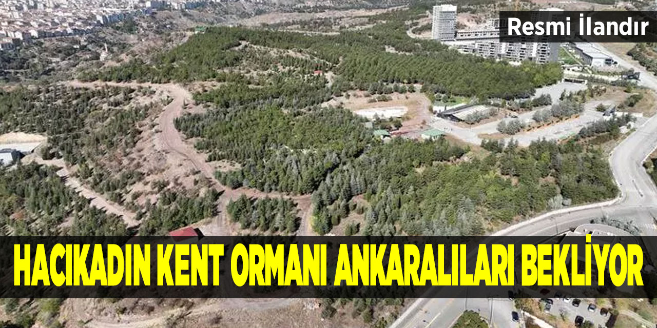 Hacıkadın Kent Ormanı Ankaralıları bekliyor