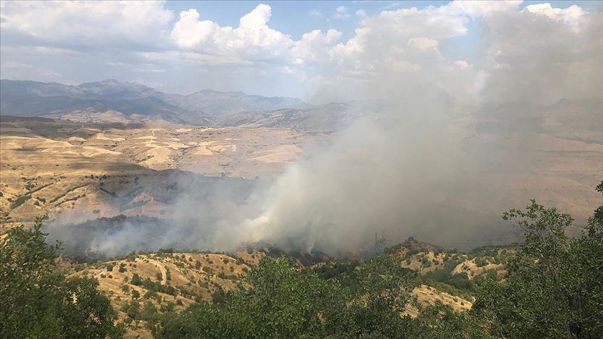 Siirt’te orman yangını... Civar illerden destek istendi