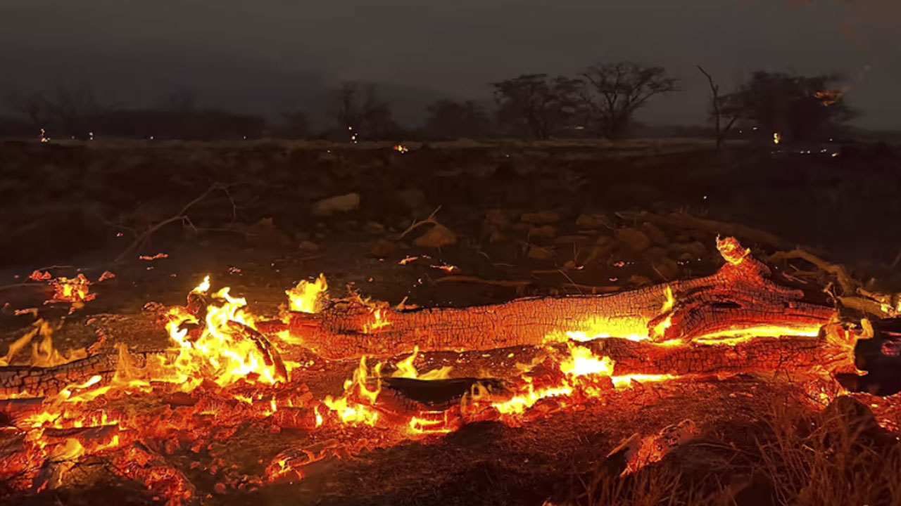 Hawaii yangınlarında bilanço korkutucu: 1300 kişi kayıp ölü sayısı şimdilik 99