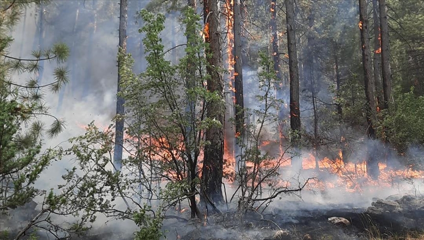 Antalya'daki orman yangını!  Soğutma çalışmaları devam ediyor