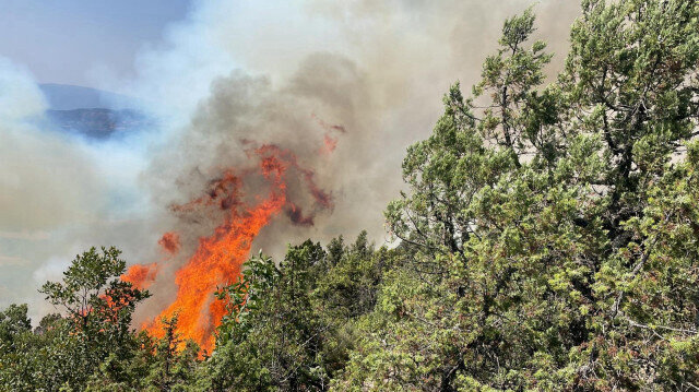 Bolu’da aynı ilçede 2 farklı orman yangını