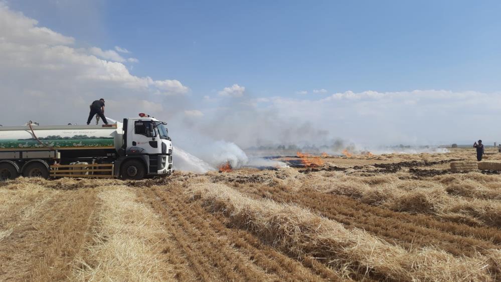 Konya'da arpa ekili tarlada yangın çıktı! 60  badem ağacı yanarak kül oldu!