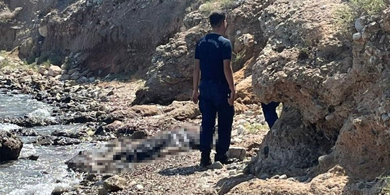 Muğla Datça sahilinde erkek cesedi bulundu