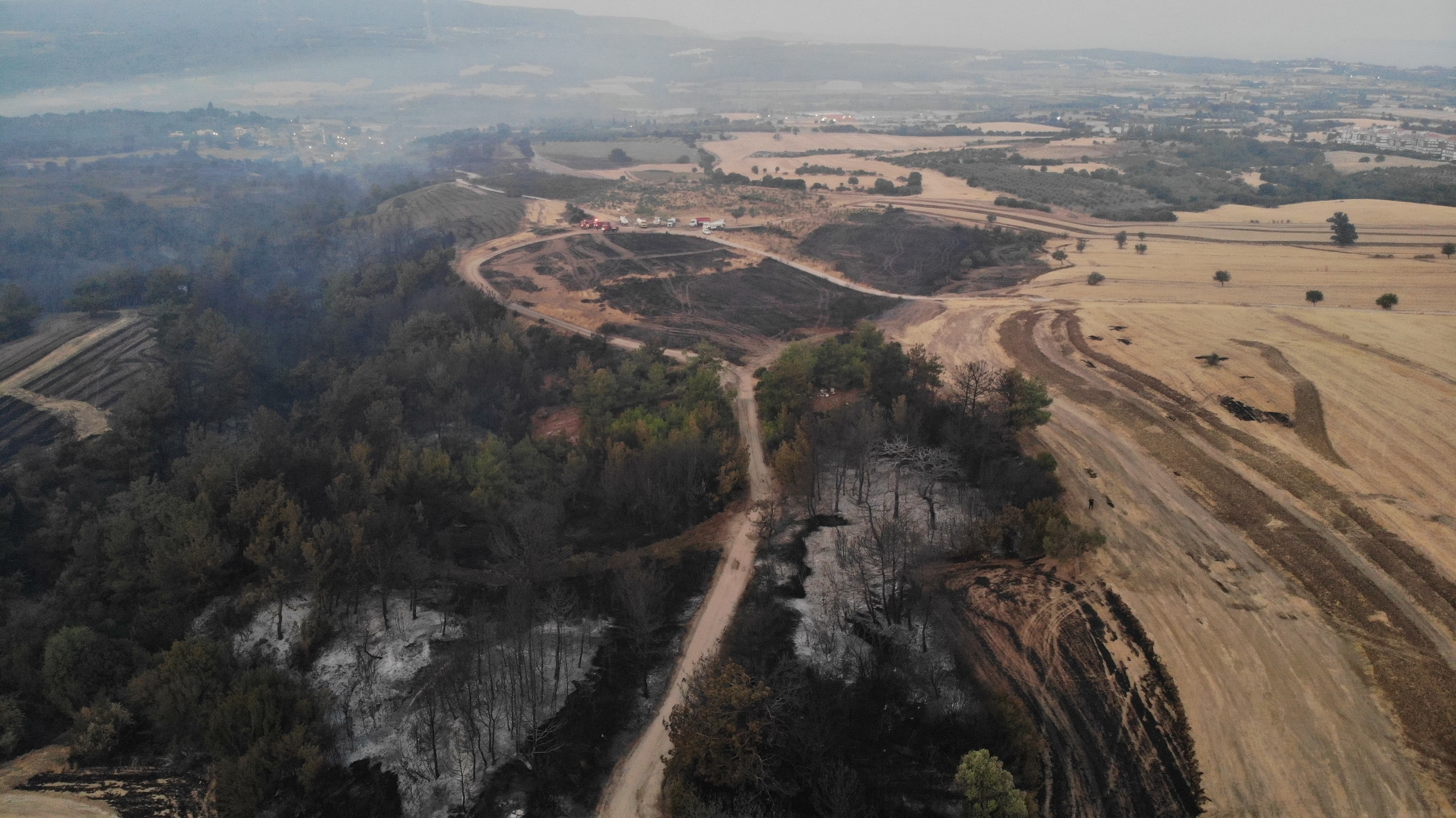 Çanakkale’de yangının boyutu gün ağarınca ortaya çıktı