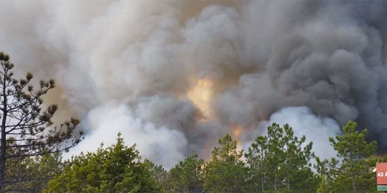 Eskişehir'de orman yangını: Havadan müdahale devam ediyor!