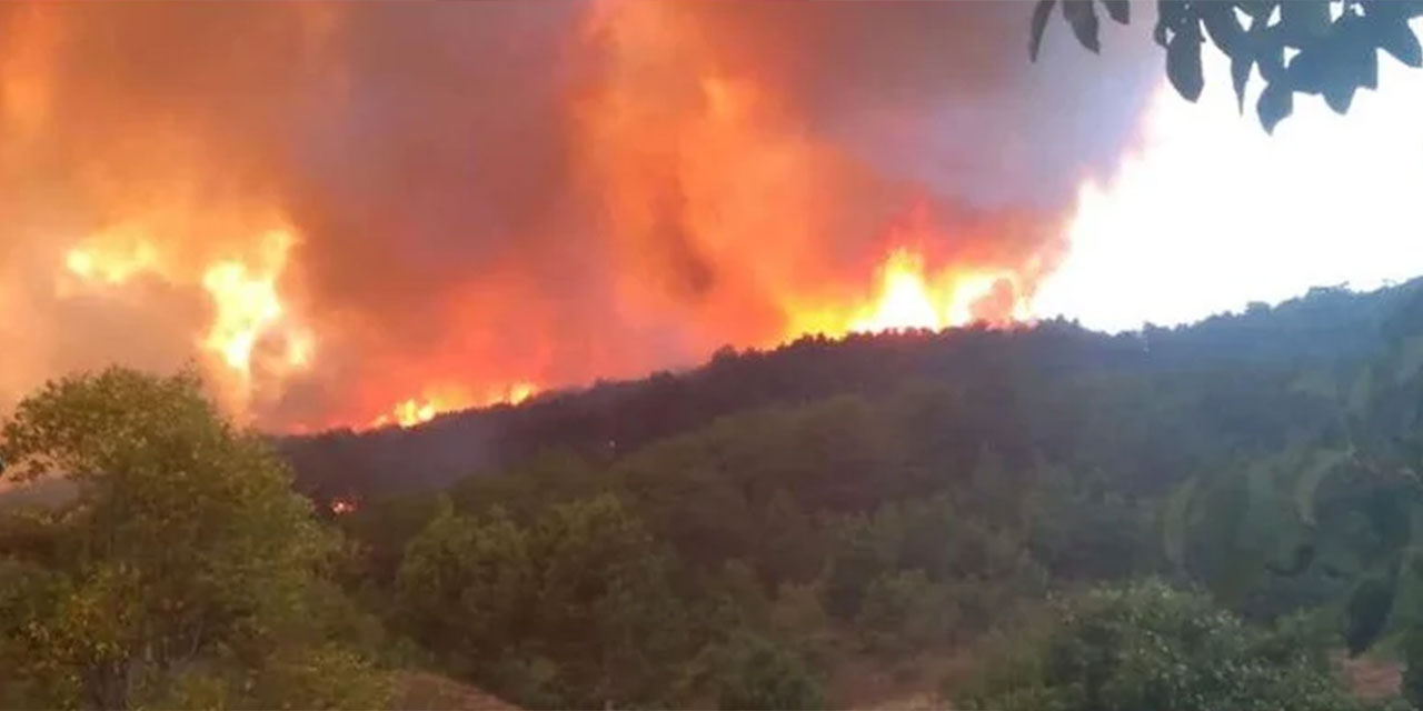 Kastamonu'daki yangın kontrol altında!