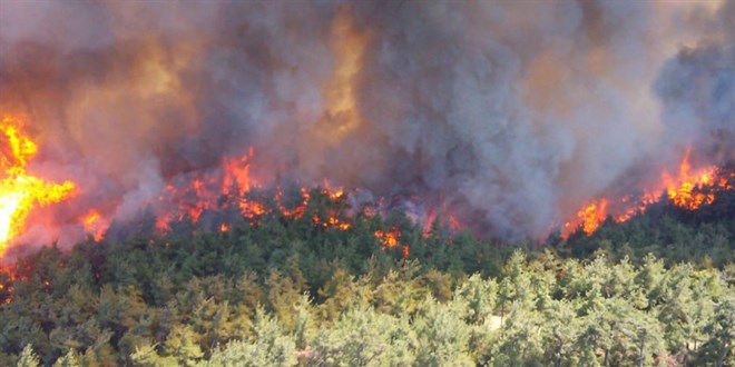 Osmaniye'de çıkan orman yangını kontrol altında