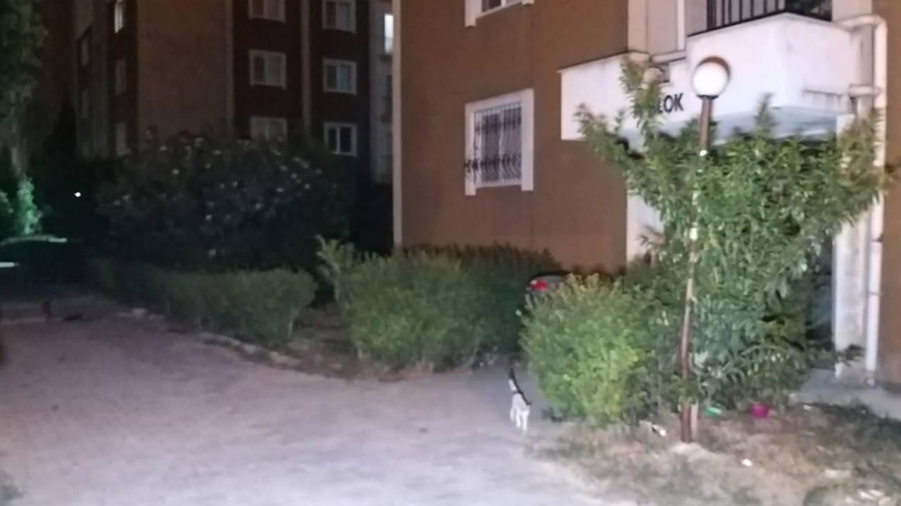 Adana'da ev sahibi  ile kiracı arasında kavga çıktı: 3 yaralı