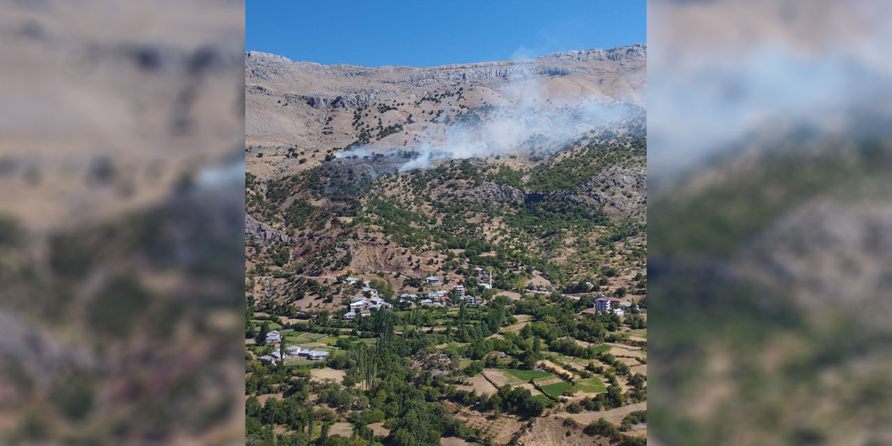 Muğla'da ormanlık alan alev alev yandı!