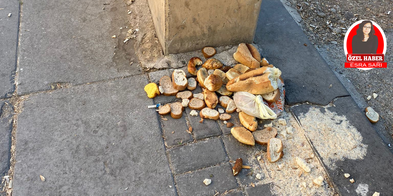 Ankara'da ekmek israfı! Sokak ve caddeler ekmek kaynıyor!