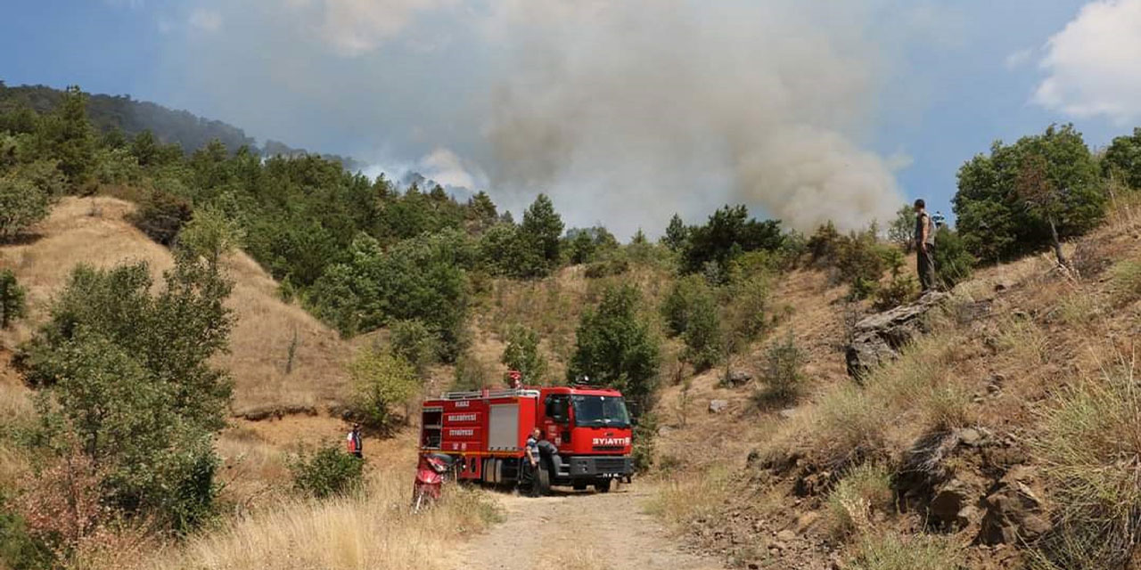 Çankırı'da ormanlık alanda yangın çıktı!