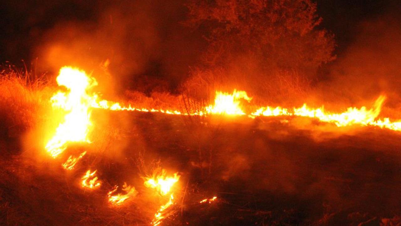 Ankara’da boş arazide çıkan yangın paniğe neden oldu