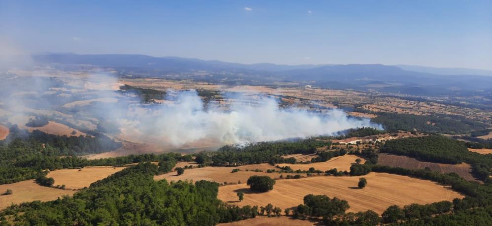 Çanakkale'de orman yangını