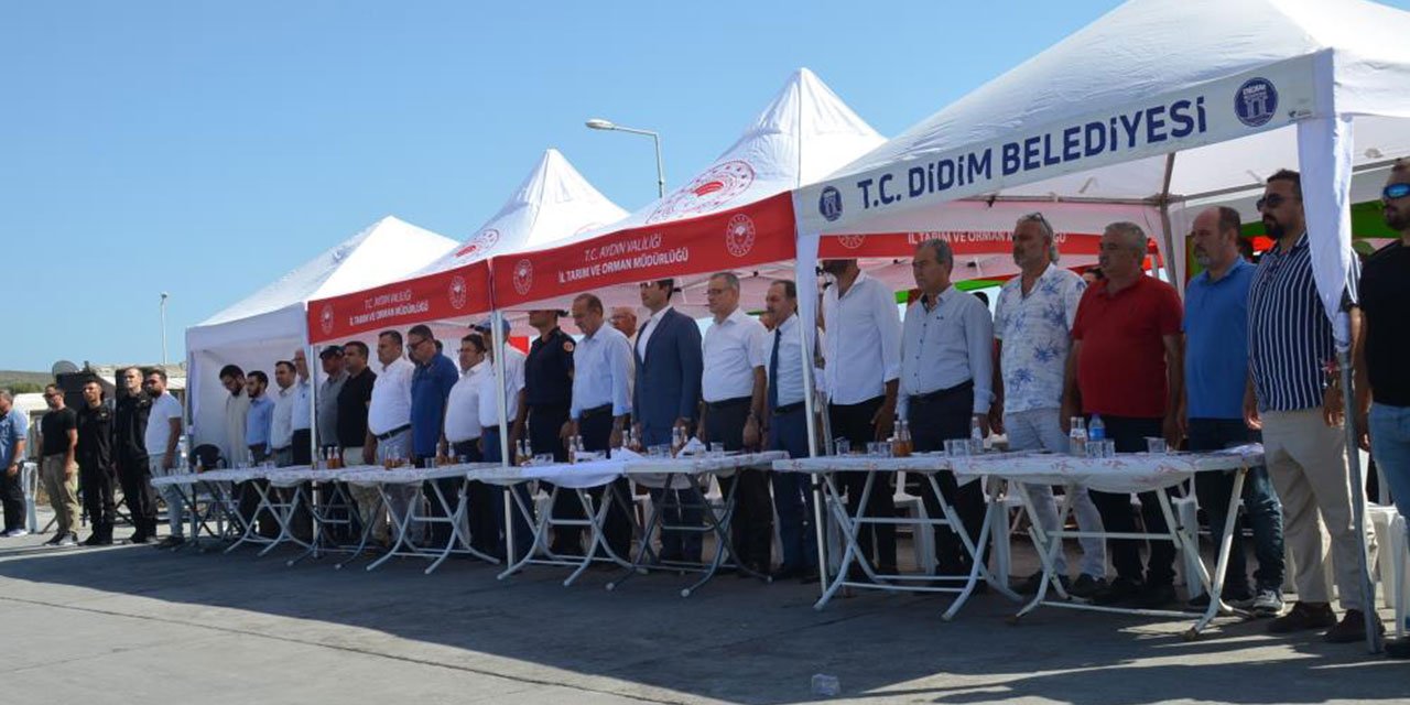 Didim'de balık sezonu açıldı!