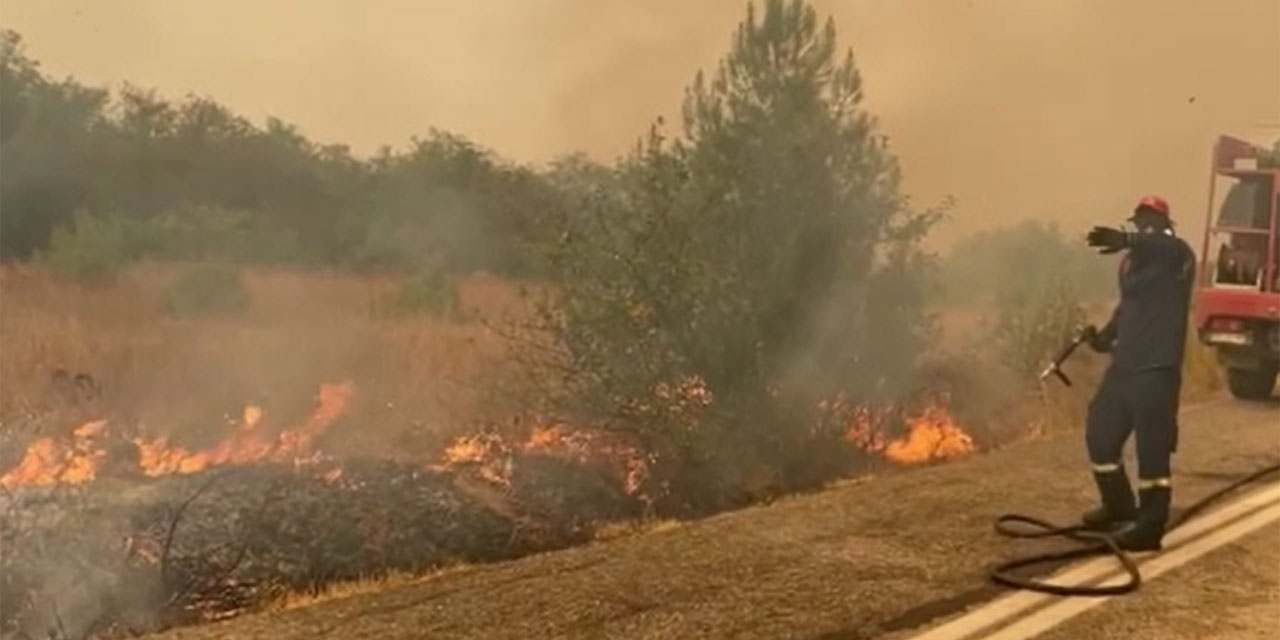 Yunanistan'daki orman yangınları devam ediyor