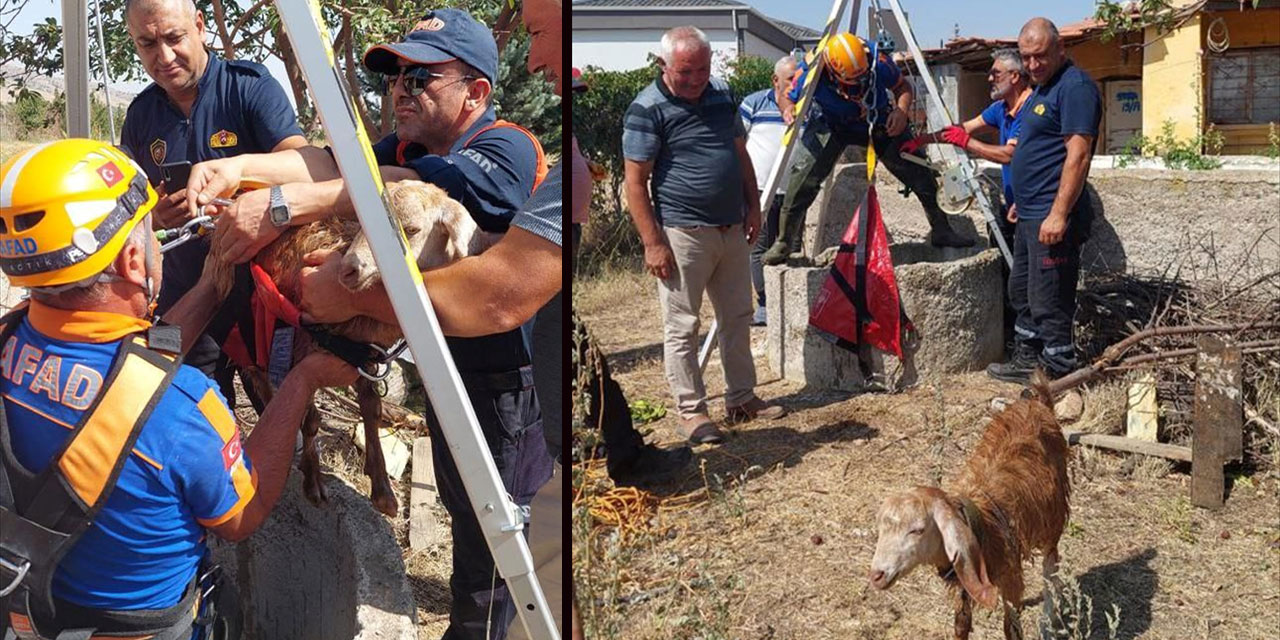 Kırıkkale'de su kuyusuna düşen keçiyi AFAD ve itfaiye kurtardı