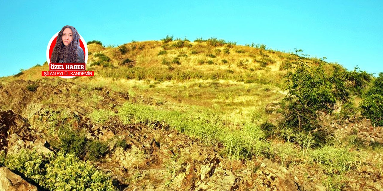 Geçmişin izlerini keşfedin! Asarcık Höyük