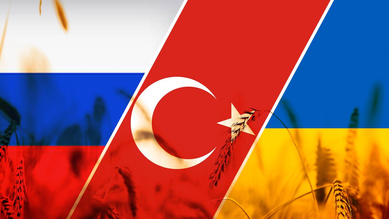 AB’nin Erdoğan-Putin görüşmesindeki temennisi: Tahıl anlaşmasına dönüş