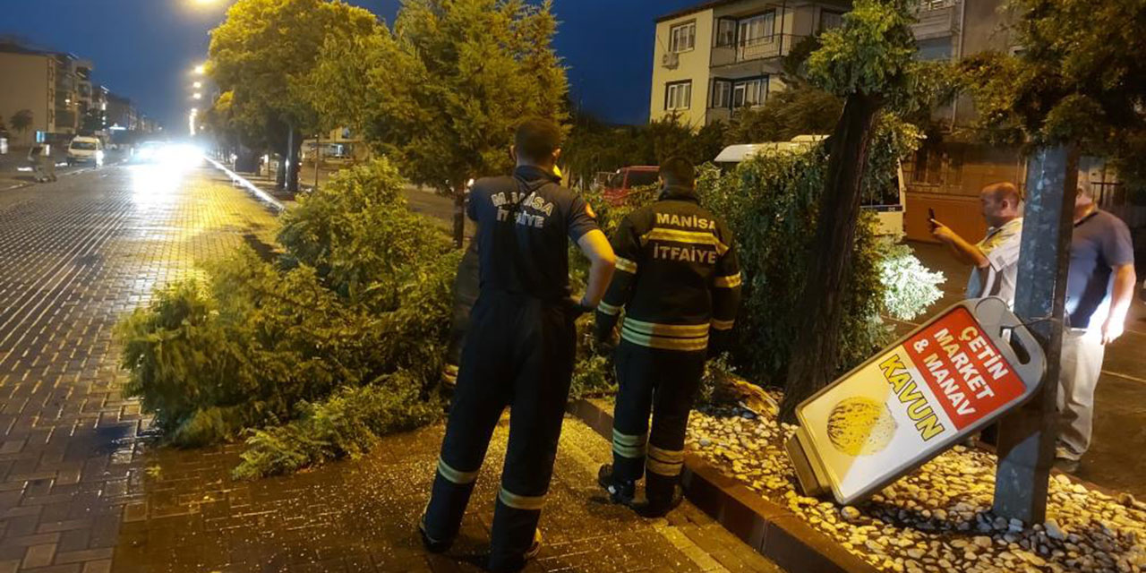 Manisa'da çıkan fırtına ağaçları devirdi!