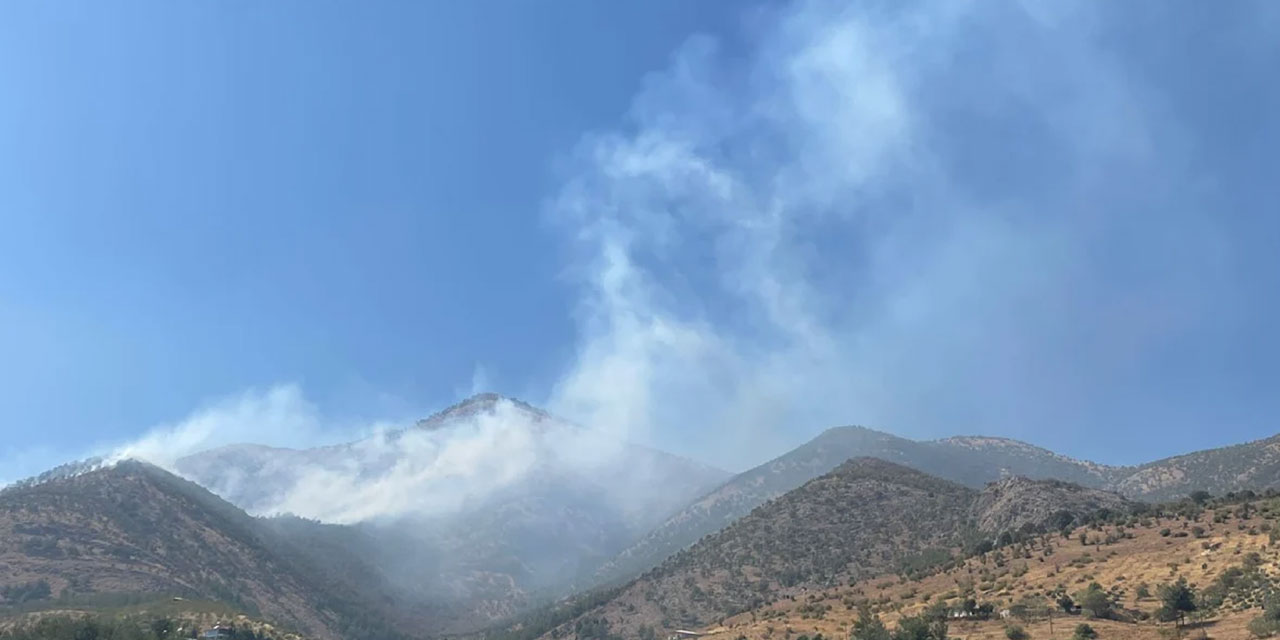 Kahramanmaraş'ta orman yangını çıktı