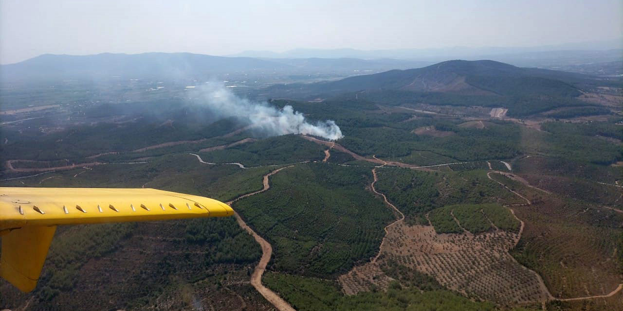 İzmir Torbalı orman yangını kontrol altında!