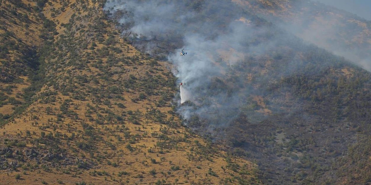 Kahramanmaraş'ta orman yangınıyla ilgili yakalanan şahıs serbest bırakıldı