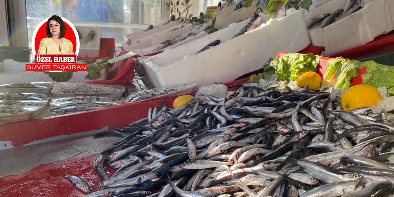 25 yıllık Balıkçı Okçu: Ankaralılar çok şanslı
